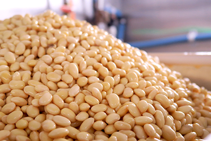 国内原料・国内製造